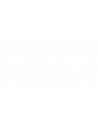 Pehuenia